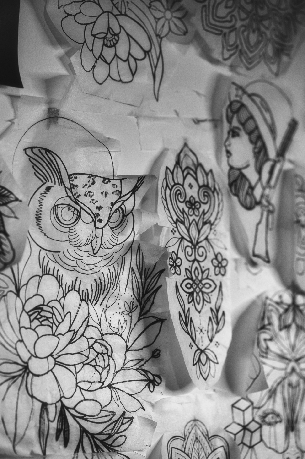 Hand-drawn tattoo stencils and flash sheets pinned to the Twin Throne studio wall